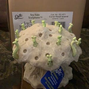 New! Aquarium Decorations! 🐠